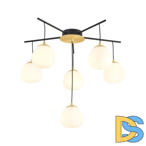 Потолочная люстра Favourite Paramount 3047-6P