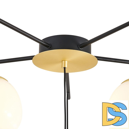 Потолочная люстра Favourite Paramount 3047-6P