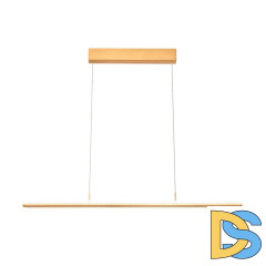 Подвесной светильник Vele Luce Futuro VL7224P01