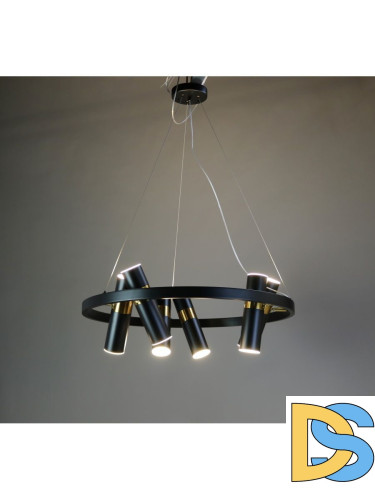 Подвесная люстра Zortes Tweeny ZRS.1828.60