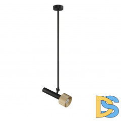 Подвесной светильник iLedex Delta 2361-1 BK+BR