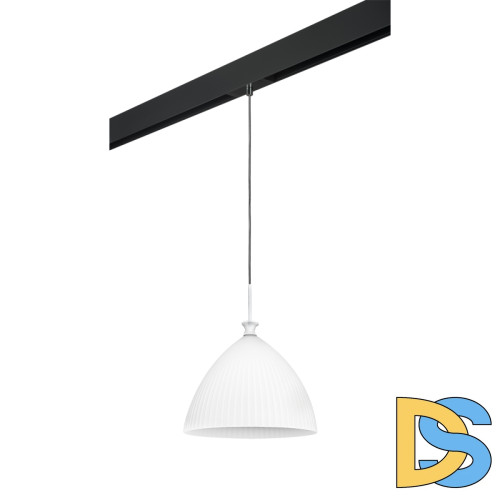 Трековый светильник Lightstar Agola PRO810030 (810030+595007)