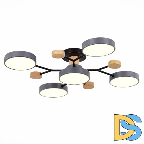 Люстра на штанге Evoluce Faema SLE6006-702-05