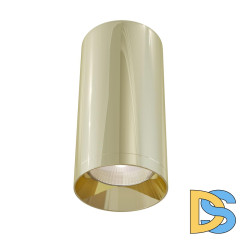 Потолочный светильник Maytoni Alfa C010CL-01G