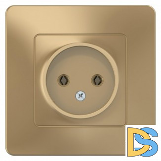 Розетка 1-ая электрическая без заземления, Титан, серия Blanca, Schneider Electric