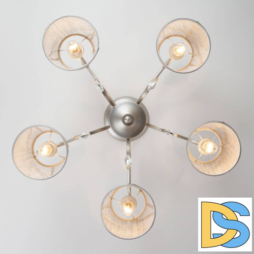 Потолочная люстра Eurosvet Liona 60065/5 серебро