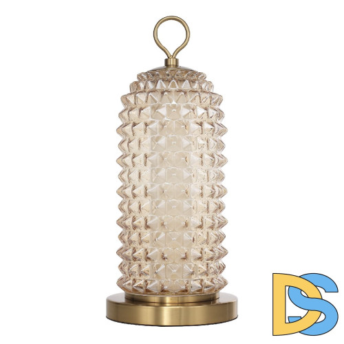 Настольная лампа ST Luce Saguaro SL6144.304.01