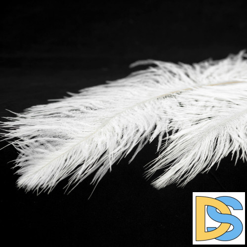 Подвесная люстра Lussole LSP-8601