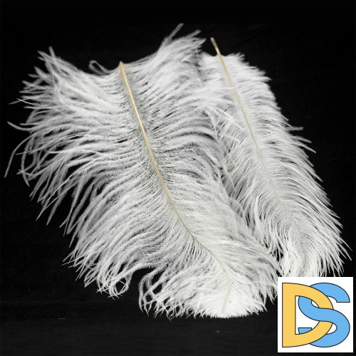 Подвесная люстра Lussole LSP-8601