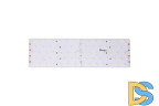 Светодиодная лента DesignLed DSG2350-24-NW-33 000594