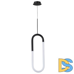 Подвесной светильник Arte Lamp Lumino A2233SP-20BK