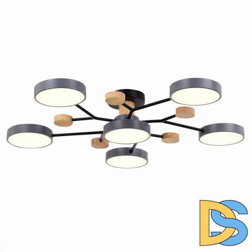 Люстра на штанге Evoluce Faema SLE6006-702-06