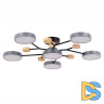 Люстра на штанге Evoluce Faema SLE6006-702-06