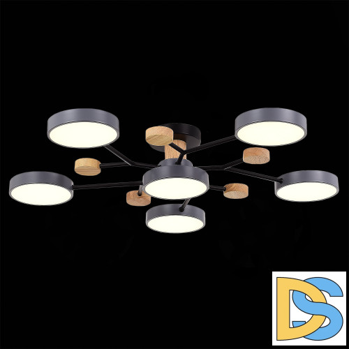 Люстра на штанге Evoluce Faema SLE6006-702-06