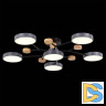 Люстра на штанге Evoluce Faema SLE6006-702-06