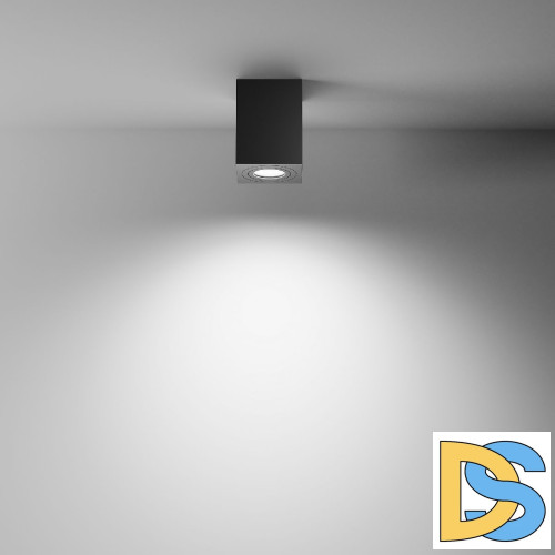 Потолочный светильник Maytoni Alfa C017CL-01B