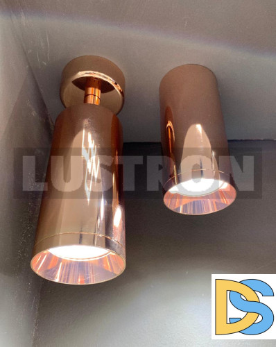 Потолочный светильник Maytoni Alfa C010CL-01RG