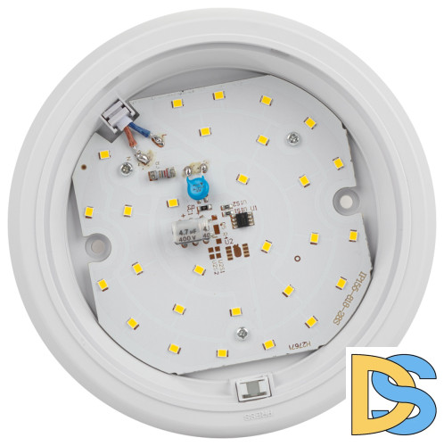 Настенно-потолочный светильник Эра SPB-301-0-4K-10 Б0055041