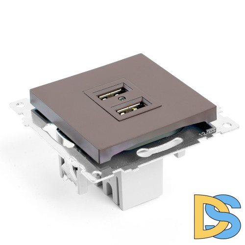 Розетка USB 2-местная Stekker Катрин GLS10-7115-04 49027