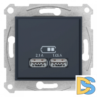 Розетка USB 2-ая (для подзарядки), Графит, серия Sedna, Schneider Electric
