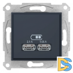 Розетка USB 2-ая (для подзарядки), Графит, серия Sedna, Schneider Electric