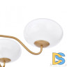 Подвесная люстра Arte Milano Napoli 310166/D680/5 BS/WD