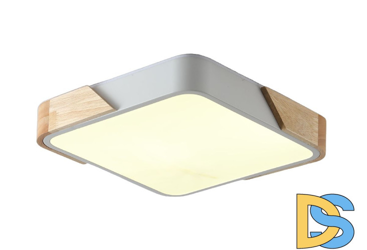 Потолочный светильник Zortes Alberro ZRS.01285.60