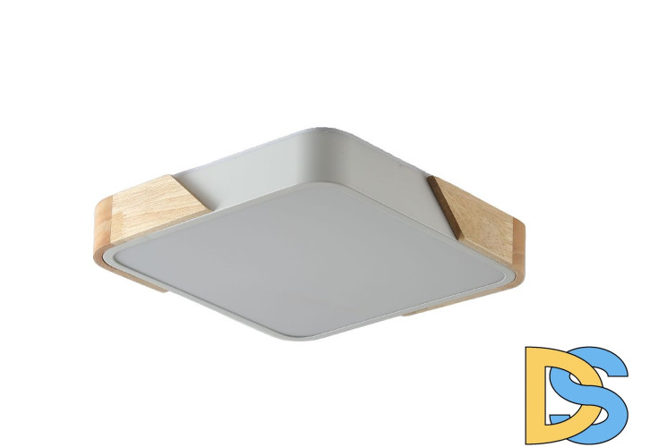 Потолочный светильник Zortes Alberro ZRS.01285.60