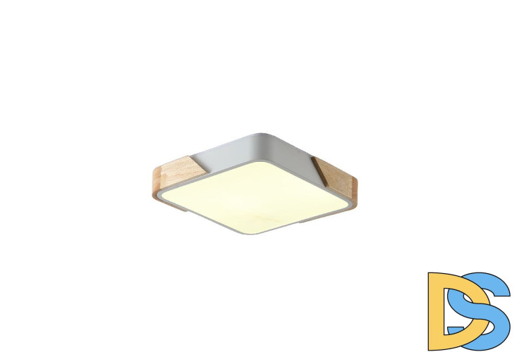 Потолочный светильник Zortes Alberro ZRS.01285.60