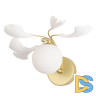 Бра Crystal Lux COLIBRI AP1 GOLD