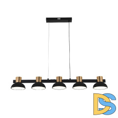 Подвесной светильник Indigo Traforo 11059/5PL Black V000184L