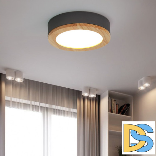 Потолочный светильник ImperiumLoft Wudda 179763-26