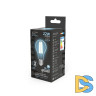 Лампа светодиодная Gauss Filament E27 22W 4100K 102902222