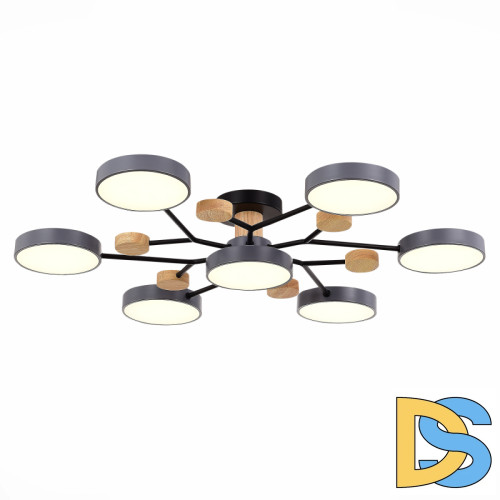 Люстра на штанге Evoluce Faema SLE6006-702-07