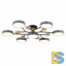 Люстра на штанге Evoluce Faema SLE6006-702-07