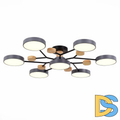 Люстра на штанге Evoluce Faema SLE6006-702-07