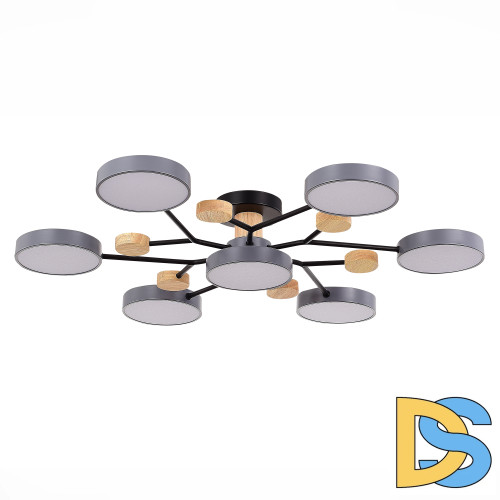 Люстра на штанге Evoluce Faema SLE6006-702-07