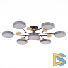 Люстра на штанге Evoluce Faema SLE6006-702-07