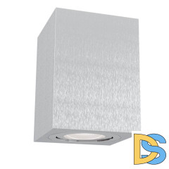 Потолочный светильник Maytoni Alfa C017CL-01S