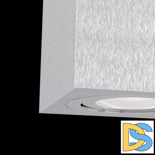 Потолочный светильник Maytoni Alfa C017CL-01S