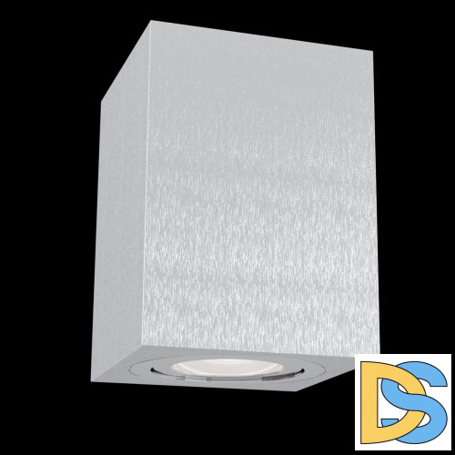 Потолочный светильник Maytoni Alfa C017CL-01S