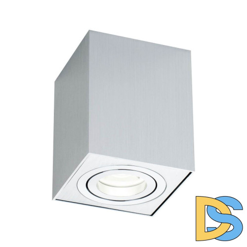 Потолочный светильник Maytoni Alfa C017CL-01S