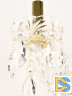 Бра Bohemia Ivele Crystal 101B/2/165 G