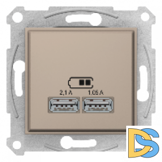 Розетка USB 2-ая (для подзарядки), Титан, серия Sedna, Schneider Electric