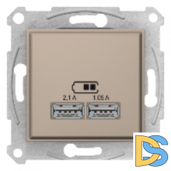 Розетка USB 2-ая (для подзарядки), Титан, серия Sedna, Schneider Electric