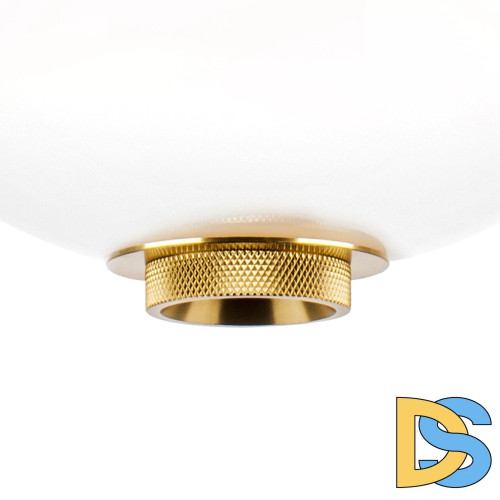 Подвесной светильник Lightstar Colore 805403