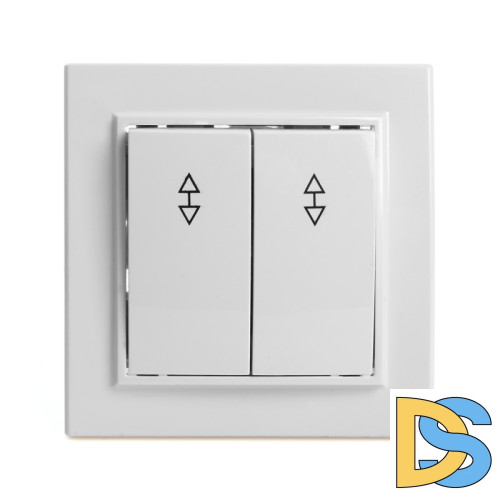 Выключатель двухклавишный Stekker Эрна 39919