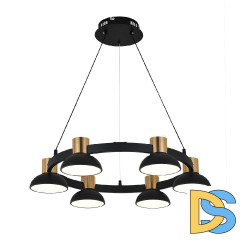 Подвесная люстра Indigo Traforo 11059/6P Black V000182L