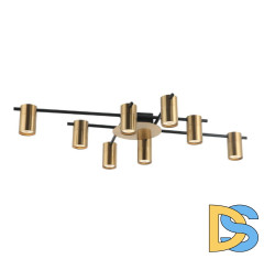 Потолочная люстра Favourite Topper 2827-8P