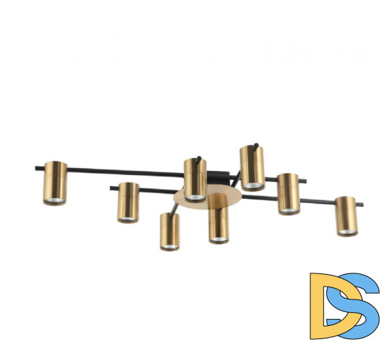 Потолочная люстра Favourite Topper 2827-8P